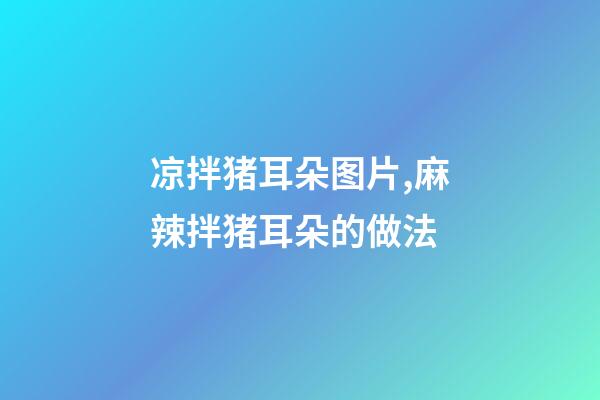 凉拌猪耳朵图片,麻辣拌猪耳朵的做法-第1张-观点-玄机派