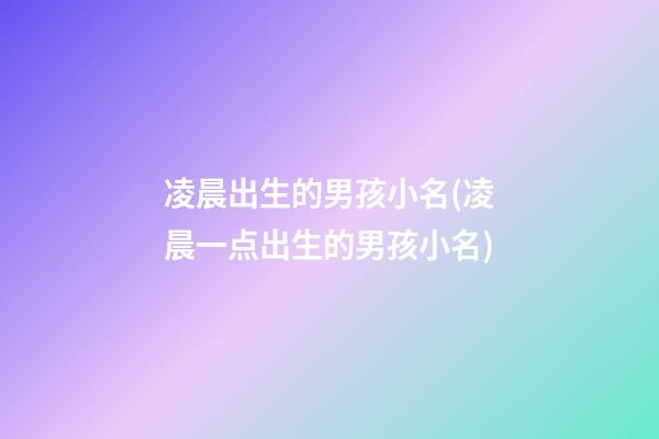 凌晨出生的男孩小名(凌晨一点出生的男孩小名)