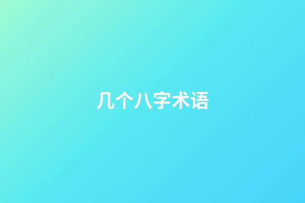 几个八字术语