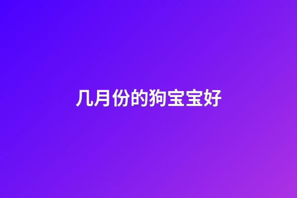几月份的狗宝宝好