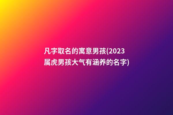 凡字取名的寓意男孩(2023属虎男孩大气有涵养的名字)