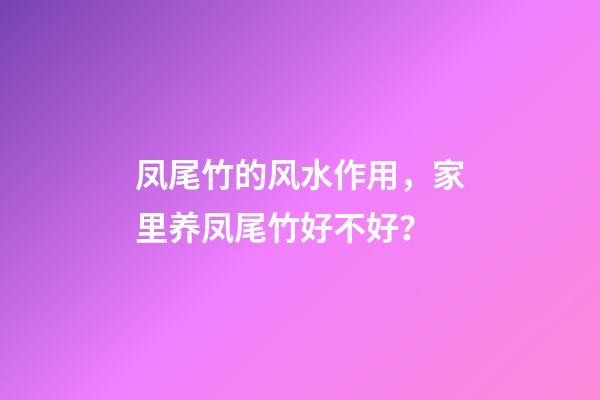 凤尾竹的风水作用，家里养凤尾竹好不好？