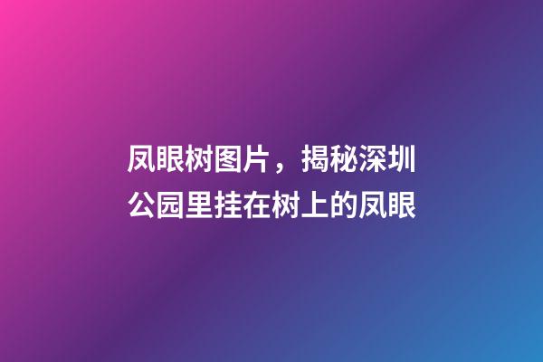 凤眼树图片，揭秘深圳公园里挂在树上的凤眼-第1张-观点-玄机派