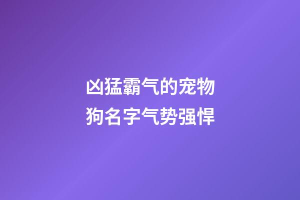 凶猛霸气的宠物狗名字气势强悍