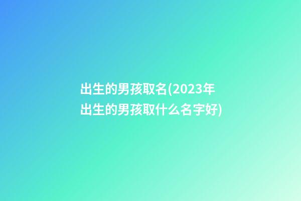出生的男孩取名(2023年出生的男孩取什么名字好)
