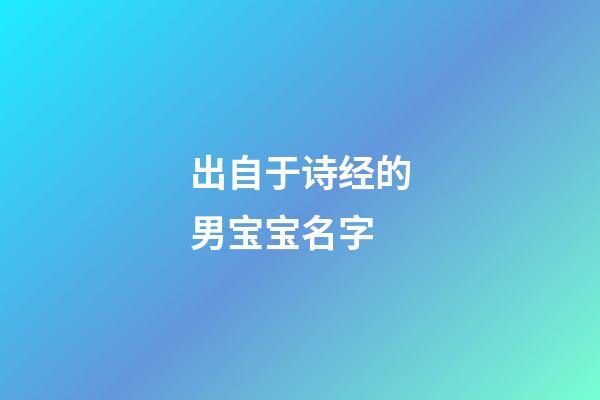 出自于诗经的男宝宝名字