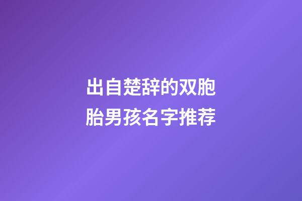 出自楚辞的双胞胎男孩名字推荐(楚辞男宝宝)-第1张-男孩起名-玄机派