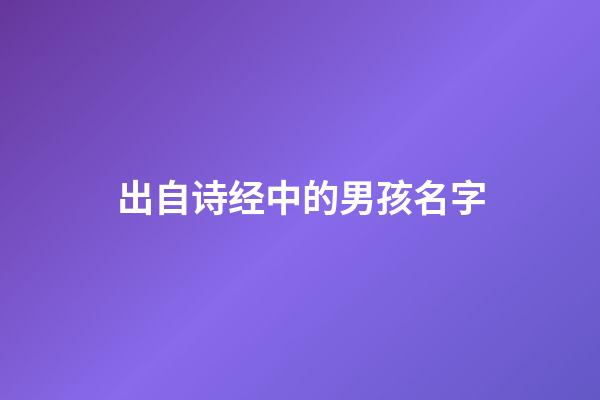 出自诗经中的男孩名字(出自诗经中的男孩名字有哪些)-第1张-男孩起名-玄机派