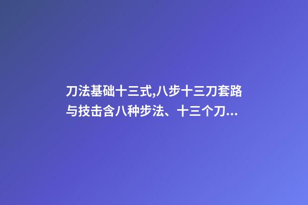 刀法基础十三式,八步十三刀套路与技击(1)含八种步法、十三个刀点、三十六拆刀-第1张-观点-玄机派