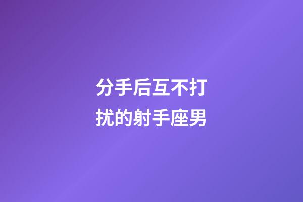 分手后互不打扰的射手座男-第1张-星座运势-玄机派