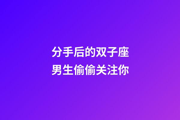 分手后的双子座男生偷偷关注你-第1张-星座运势-玄机派