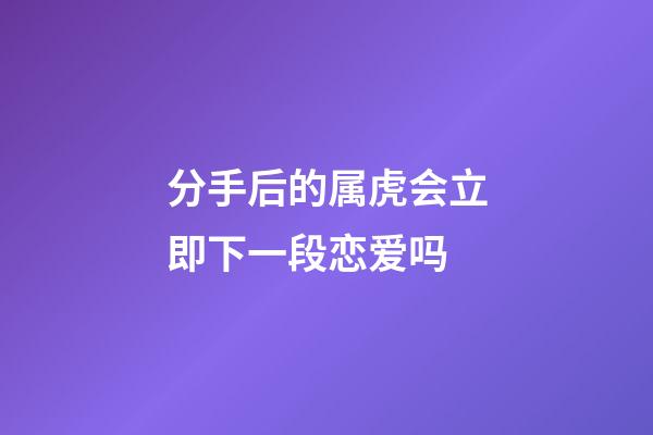 分手后的属虎会立即下一段恋爱吗