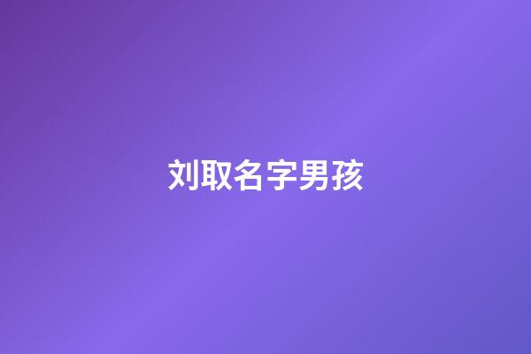 刘取名字男孩(刘取名字男孩名字)-第1张-男孩起名-玄机派