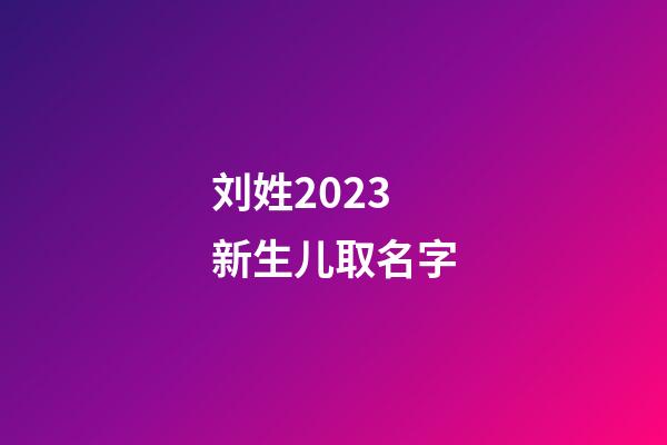 刘姓2023新生儿取名字