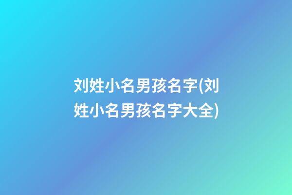 刘姓小名男孩名字(刘姓小名男孩名字大全)