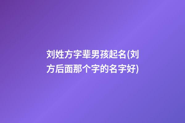 刘姓方字辈男孩起名(刘方后面那个字的名字好)