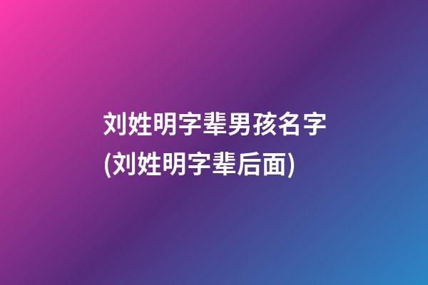 刘姓明字辈男孩名字(刘姓明字辈后面)