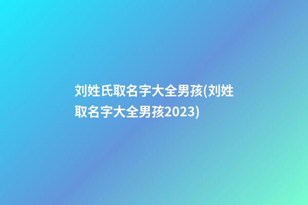 刘姓氏取名字大全男孩(刘姓取名字大全男孩2023)