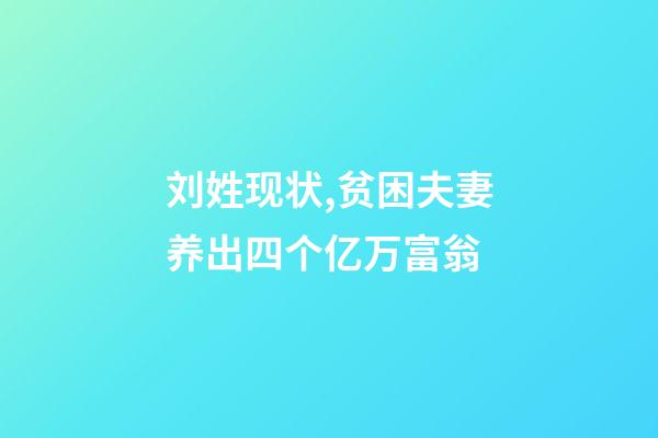 刘姓现状,贫困夫妻养出四个亿万富翁-第1张-观点-玄机派
