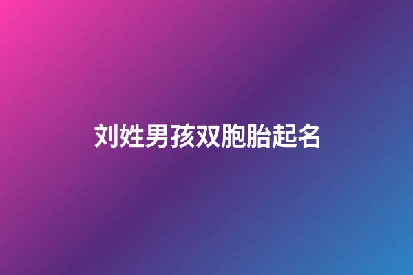 刘姓男孩双胞胎起名(刘姓男孩双胞胎起名字大全)-第1张-男孩起名-玄机派