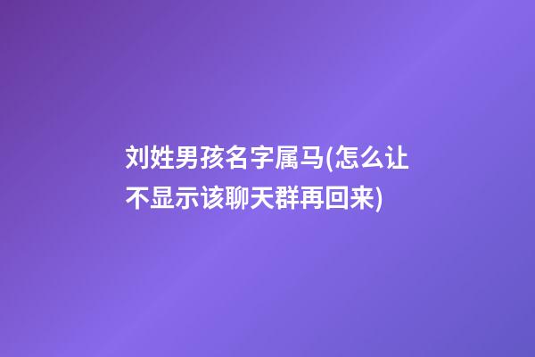 刘姓男孩名字属马(怎么让不显示该聊天群再回来)