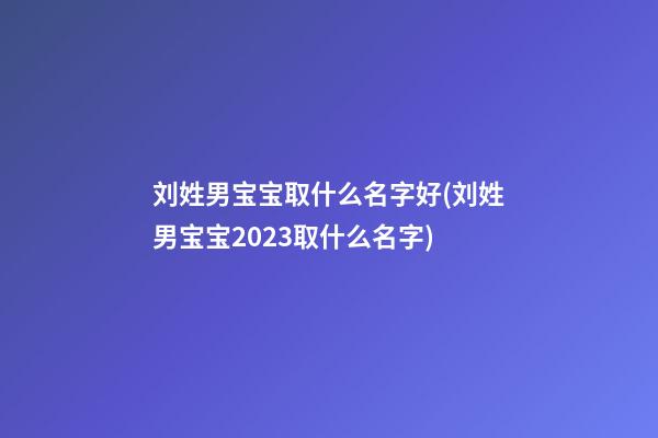 刘姓男宝宝取什么名字好(刘姓男宝宝2023取什么名字)