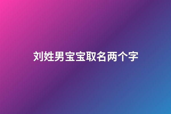 刘姓男宝宝取名两个字(刘姓男宝宝取名两个字的名字)-第1张-男孩起名-玄机派