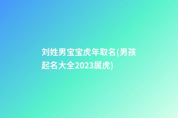 刘姓男宝宝虎年取名(男孩起名大全2023属虎)