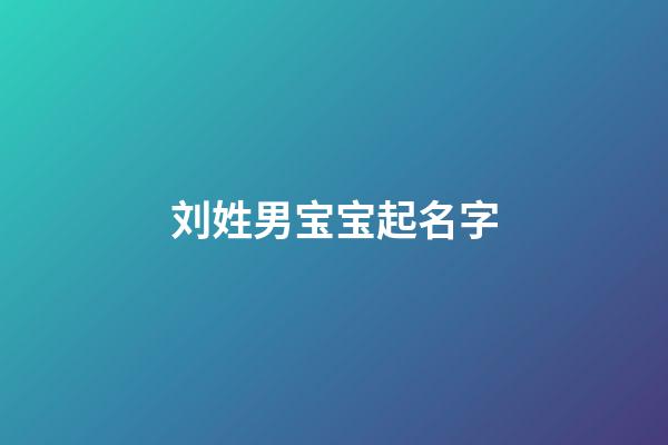 刘姓男宝宝起名字(刘姓男孩儿名字)-第1张-男孩起名-玄机派