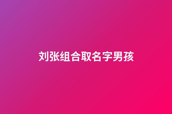 刘张组合取名字男孩(刘张组合取名字男孩怎么取)-第1张-男孩起名-玄机派