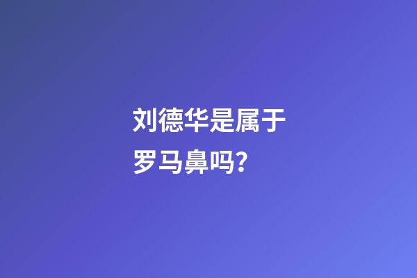 刘德华是属于罗马鼻吗？