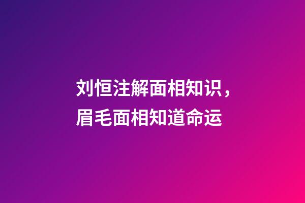刘恒注解面相知识，眉毛面相知道命运