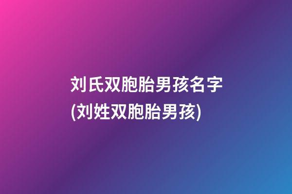 刘氏双胞胎男孩名字(刘姓双胞胎男孩)