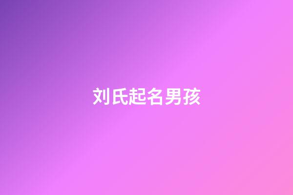 刘氏起名男孩(刘氏名字洋气男孩名字)-第1张-男孩起名-玄机派