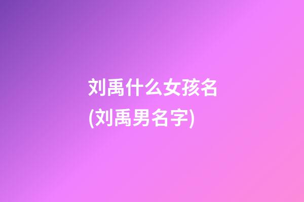 刘禹什么女孩名(刘禹男名字)