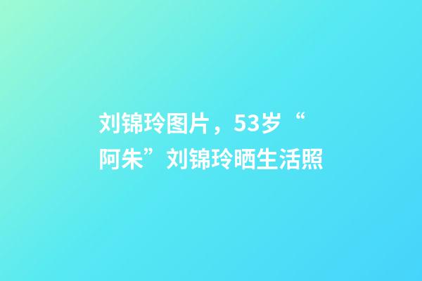 刘锦玲图片，53岁“阿朱”刘锦玲晒生活照-第1张-观点-玄机派