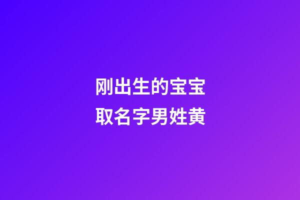 刚出生的宝宝取名字男姓黄(刚出生的宝宝取名字男姓黄怎么取)-第1张-男孩起名-玄机派