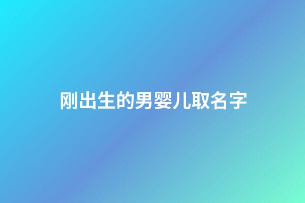 刚出生的男婴儿取名字(刚出生的男婴儿取名字怎么取)-第1张-男孩起名-玄机派