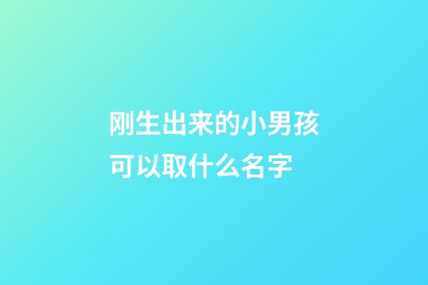 刚生出来的小男孩可以取什么名字(刚生的小男孩起什么名字好听)-第1张-男孩起名-玄机派