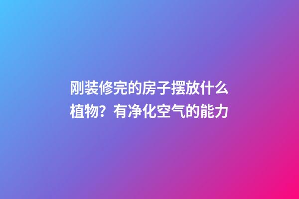 刚装修完的房子摆放什么植物？有净化空气的能力