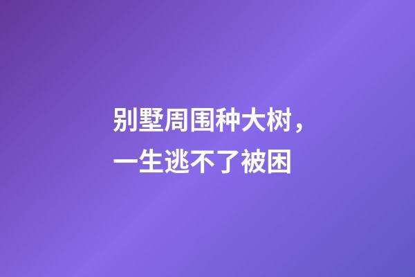 别墅周围种大树，一生逃不了被困