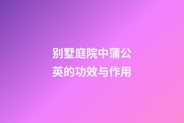 别墅庭院中蒲公英的功效与作用