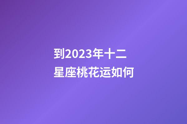 到2023年十二星座桃花运如何-第1张-星座运势-玄机派