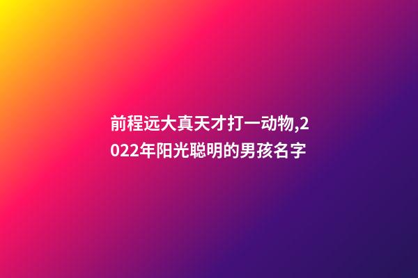 前程远大真天才打一动物,2022年阳光聪明的男孩名字-第1张-观点-玄机派
