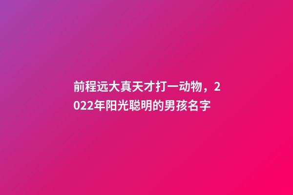 前程远大真天才打一动物，2022年阳光聪明的男孩名字-第1张-观点-玄机派