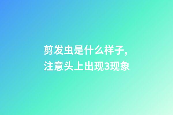 剪发虫是什么样子,注意头上出现3现象-第1张-观点-玄机派