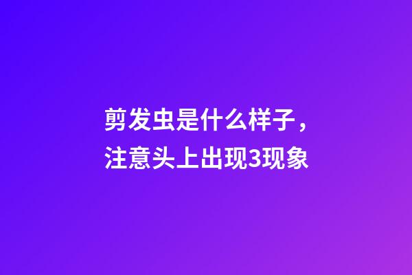剪发虫是什么样子，注意头上出现3现象-第1张-观点-玄机派