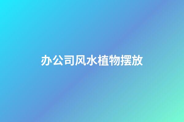 办公司风水植物摆放