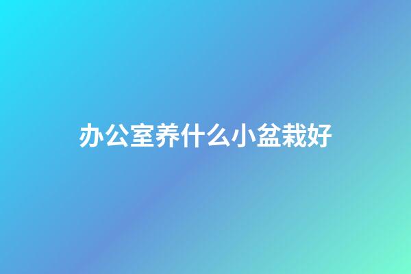 办公室养什么小盆栽好