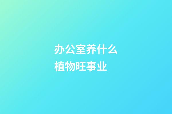 办公室养什么植物旺事业